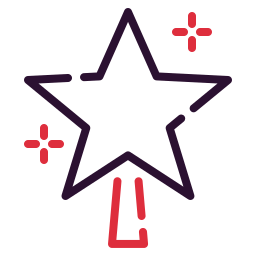 Christmas star icon
