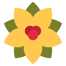 Poinsettia flower icon