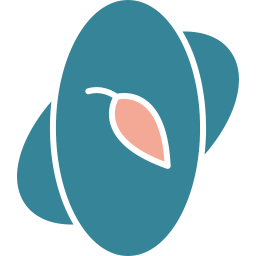 nucleo icona