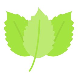 grüne minze icon