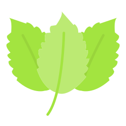 Spearmint icon