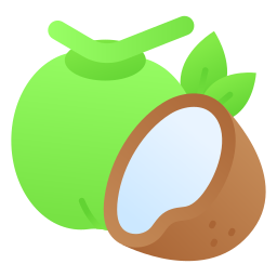 kokosnuss icon