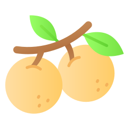 longan Ícone