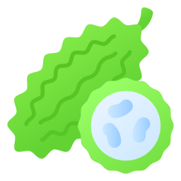 Bitter gourd icon