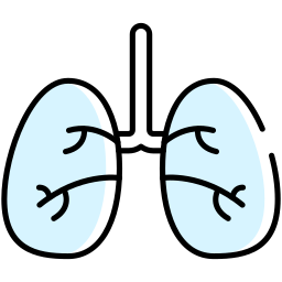 pulmões Ícone