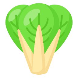 bok choy ikona