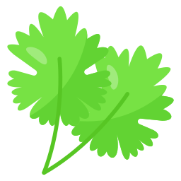 Coriander icon