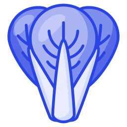 Bok choy icon