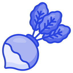 순무 icon