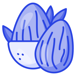 Almond icon