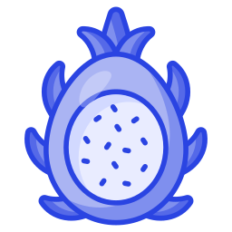 Dragon fruit icon