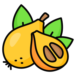 Loquat icon