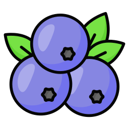 Blueberry icon