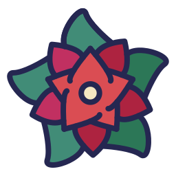 Poinsettia icon