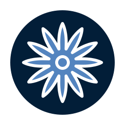 Ashoka chakra icon