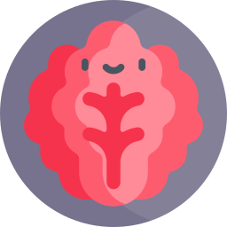 Kimchi icon