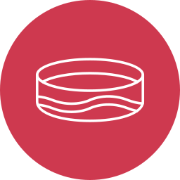 Bracelet icon