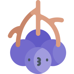 Elderberry icon