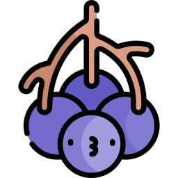 ニワトコ icon