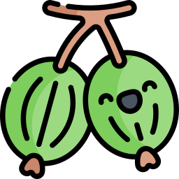 Gooseberry icon