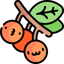 팽나무 icon