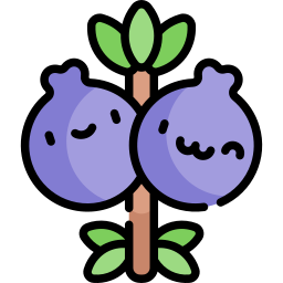 Juniper berry icon