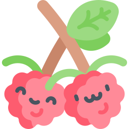 Raspberry icon