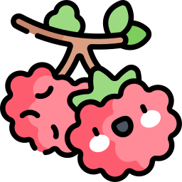 Thimbleberry icon