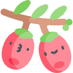 cisowa jagoda ikona