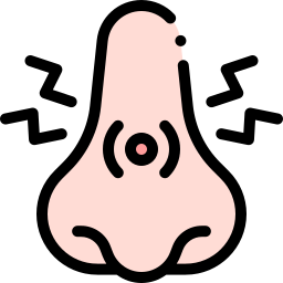 congestione nasale icona