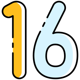 16 icon