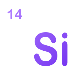 Silicon icon