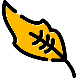 Feather icon