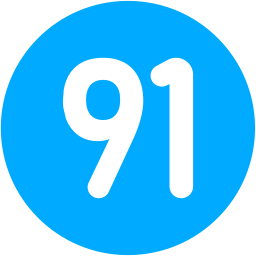 91 icon