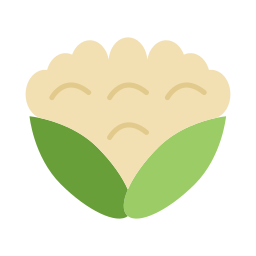 Cauliflower icon