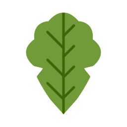 Bok choy icon