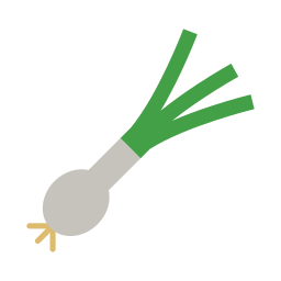 Spring onion icon