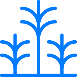 Palm tree icon