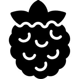 Raspberry icon