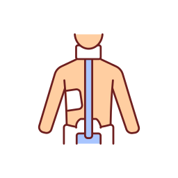 Spine corset icon