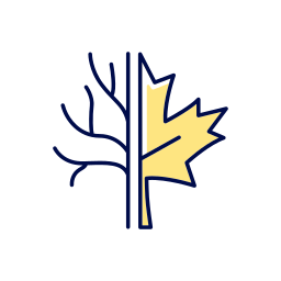 Maple leaflet icon
