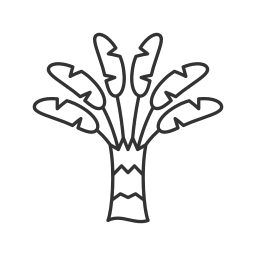 árbol exótico icono