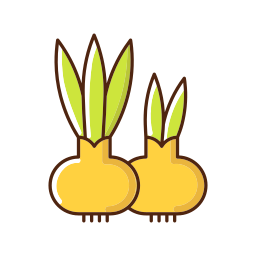 Root icon