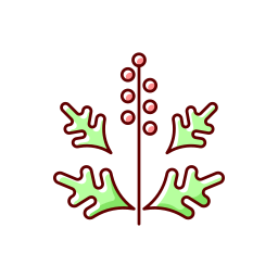 관엽 식물 icon