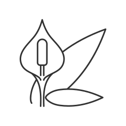 관엽 식물 icon