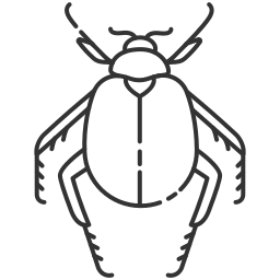 Scarab beetle icon