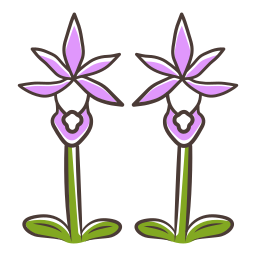 Purple fairy slipper icon