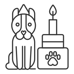 geburtstag icon