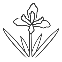 ダグラシアナ icon
