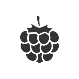 Berry icon